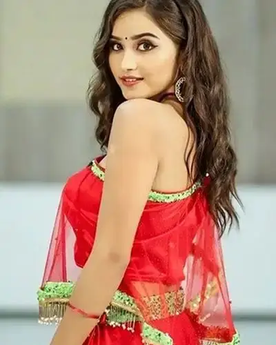 Call Girls Service Palamaner